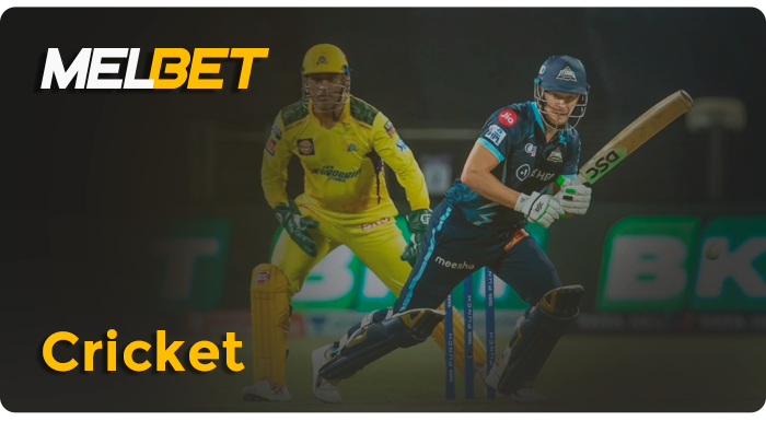 Betting on cricket on the MelBet betting site - types of bets